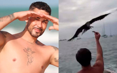 Justiça suspende multa milionária contra Carlinhos Maia por filmar gaivota em Noronha. Entenda!